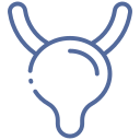 Doctor Urólogo en Cuajimalpa CDMX