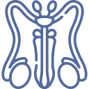 Especialista en Urología en Cuajimalpa CDMX