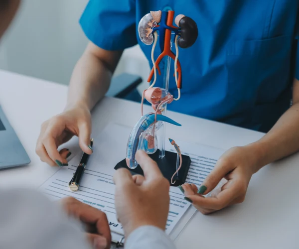 Urólogo Cerca de Mí en Cuajimalpa CDMX