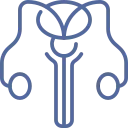 consulta-para-hiperplasia-prostatica-en-cdmx